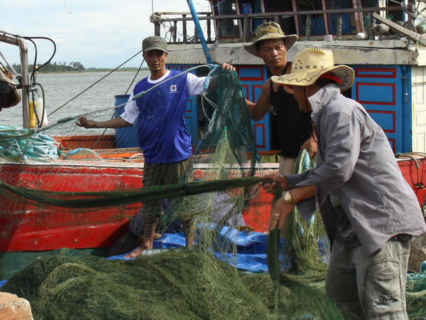 Ngư dân Bình Định kiên trì quyết tâm vươn khơi bám biển ảnh 1