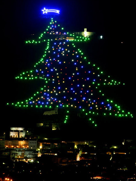 Italy có cây thông Noel ánh sáng lớn nhất thế giới 2013 ảnh 1