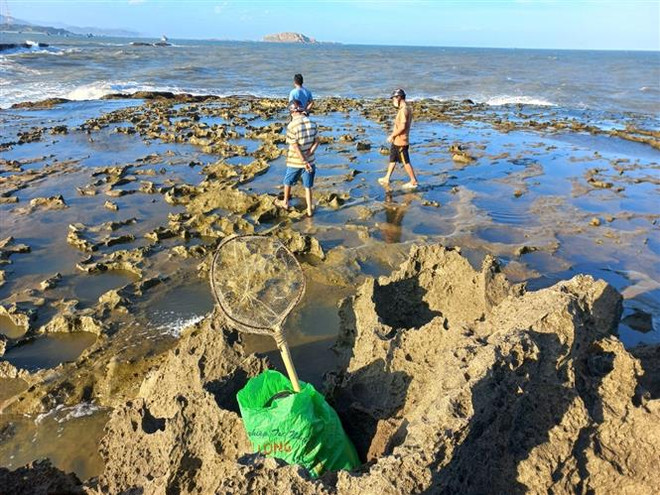 Đi câu cá, hai thanh niên rơi xuống biển, sóng cuốn mất tích ảnh 1