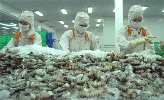 Báo Nikkei: Sự bứt phá ngoạn mục của Việt Nam trong đại dịch COVID-19 ảnh 2