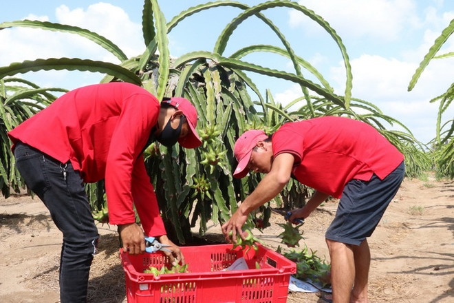 Tiền Giang: Khắc phục khó khăn, thực hiện các mục tiêu tăng trưởng ảnh 2