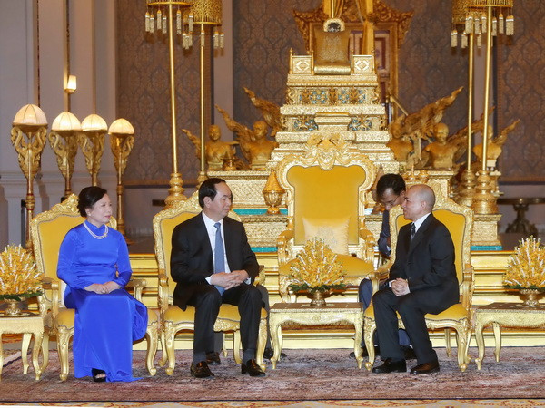 Chủ tịch nước Trần Đại Quang hội kiến Quốc vương Campuchia ảnh 1