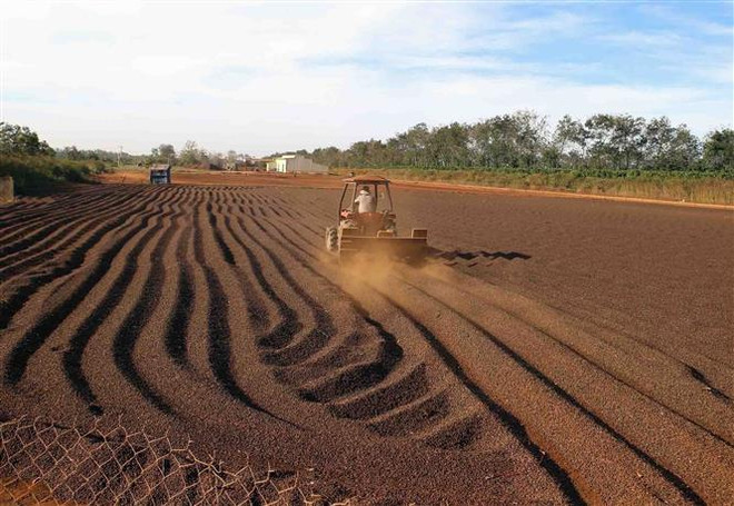 'Tận dụng hiệu quả các cơ hội để phát triển kinh tế năm 2020' ảnh 2