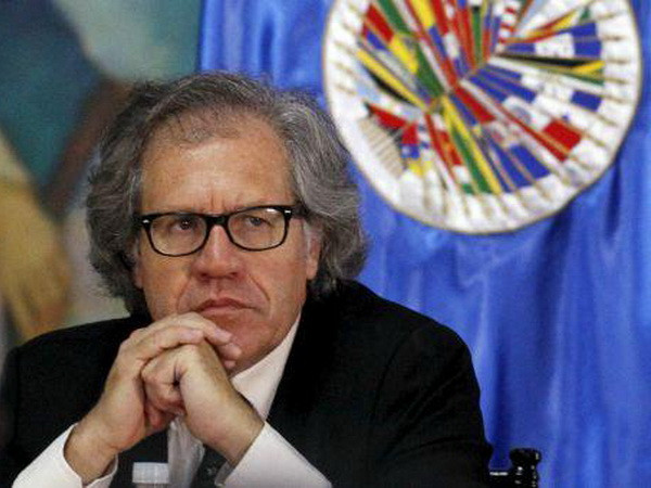 Tổng thư ký OAS bày tỏ ủng hộ tiến trình hòa đàm ở Colombia ảnh 1