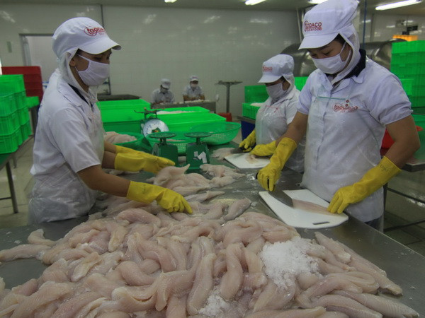 Chú trọng công nghệ chế biến để nâng cao giá trị thủy sản ảnh 1