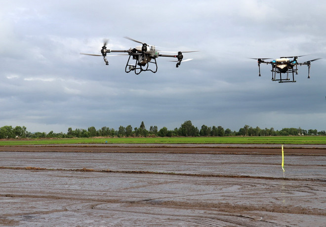 ttxvn_kien giang (2).jpg