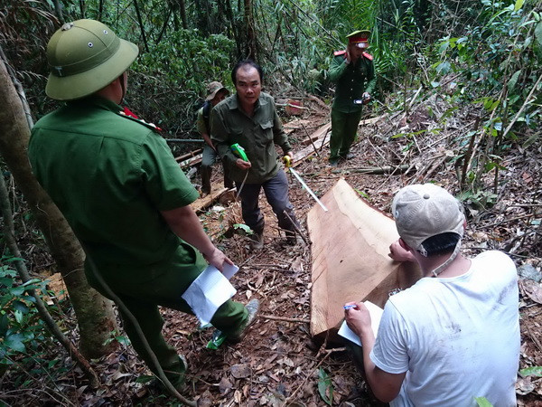 Lâm Đồng: Tăng cường lực lượng truy bắt trùm lâm tặc “Hà Đen” ảnh 1