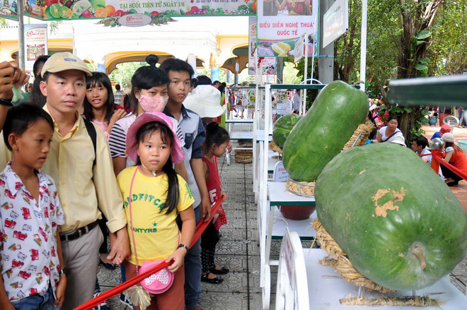 [Photo] Gần 200 loại quả đặc sản tại Lễ hội trái cây Nam Bộ ảnh 1