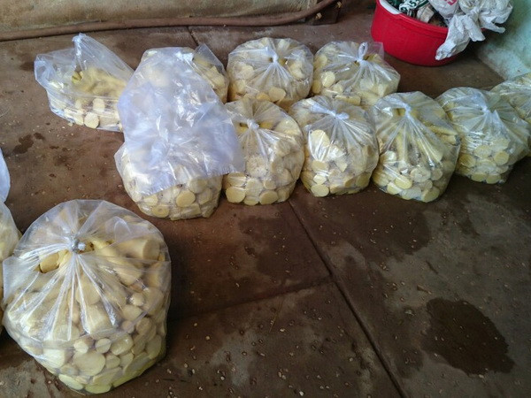 Đà Nẵng phát hiện gần 80 bao tải chứa măng tươi bốc mùi hôi thối ảnh 1