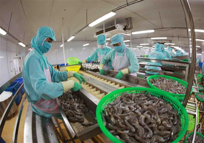 Doanh nghiệp thủy sản kỳ vọng xuất khẩu phục hồi từ quý 2 năm 2023 ảnh 2