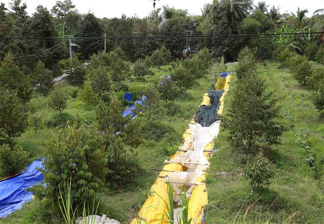 Đề xuất giải pháp giảm độ mặn cho đất nông nghiệp vùng ĐBSCL ảnh 3