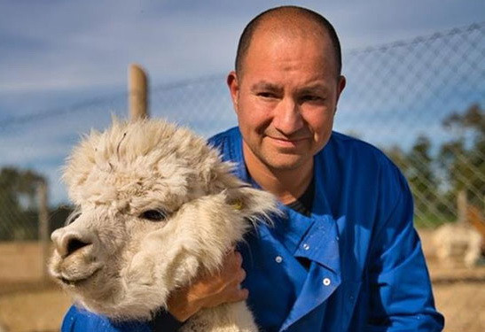 Chile phát hiện kháng thể ''mạnh'' giúp chống lại COVID-19 ảnh 1