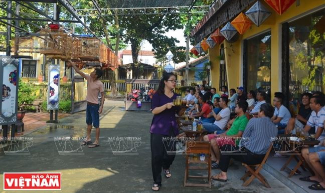 Huế: Rộn rã tiếng chim chào mào líu lo trong Thành nội ảnh 1