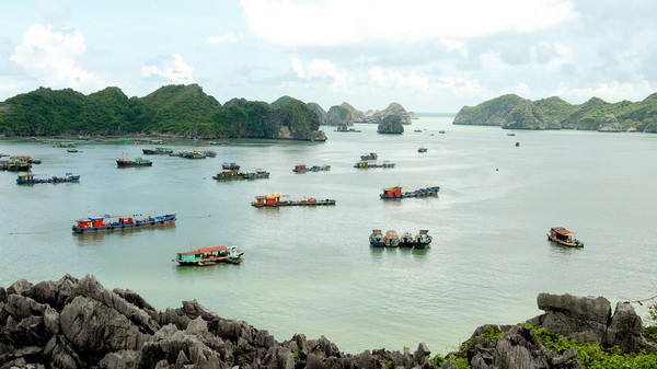 Hải Phòng khởi công giai đoạn 1 quần thể du lịch sinh thái Cát Bà ảnh 1