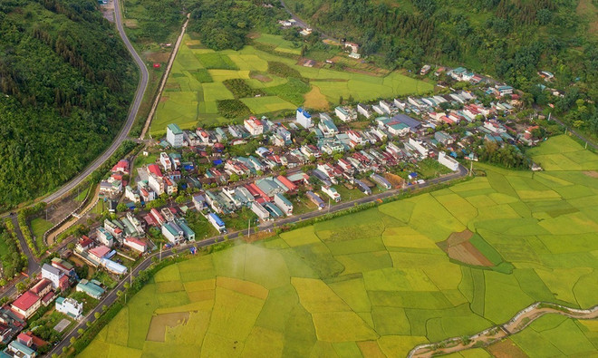 Mùa lúa chín Mường Khương - dải lụa vàng nơi biên viễn Tổ quốc ảnh 6