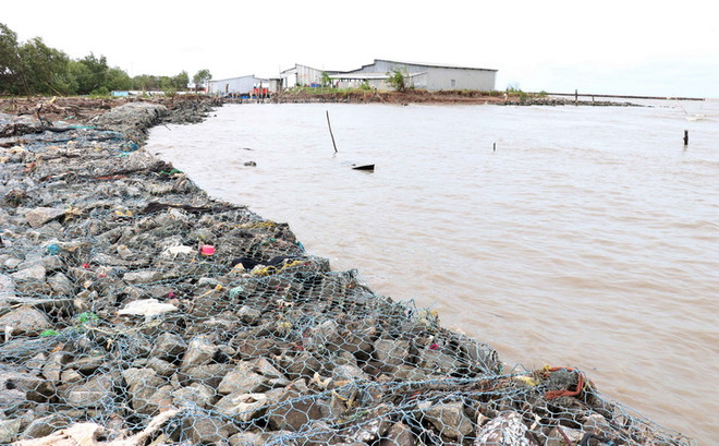 Khắc phục khẩn cấp tình huống sạt lở đê biển Tây tỉnh Cà Mau ảnh 1