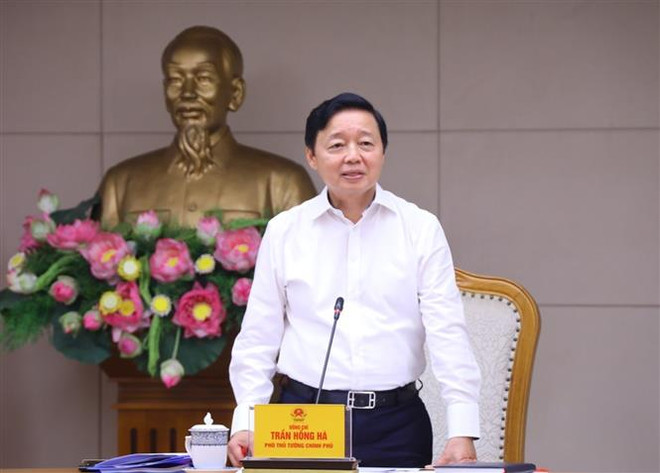 Lựa chọn lĩnh vực ưu tiên trong hội nhập để xây dựng nền kinh tế xanh ảnh 1