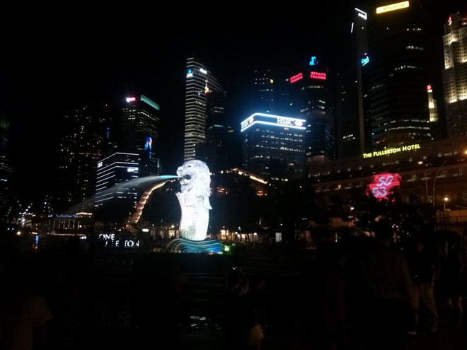 Du khách Việt Nam đến Singapore tăng mạnh trong năm 2014 ảnh 1