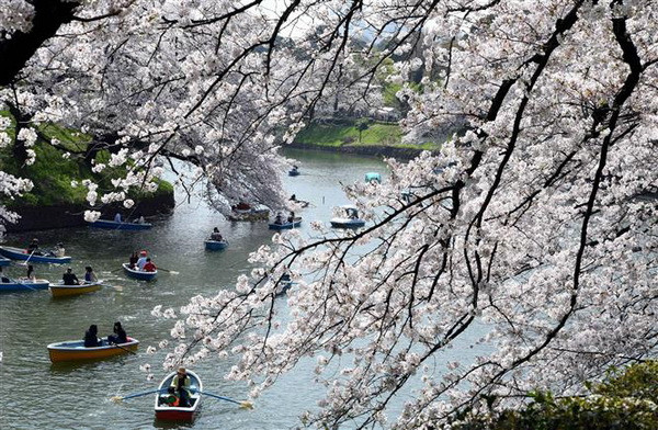 Nhật Bản bắt đầu thực hiện thu thuế du lịch quốc tế ảnh 1