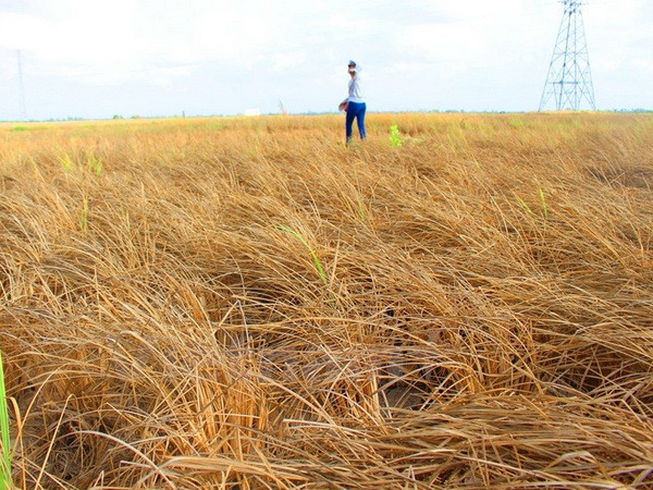 Cả nước vẫn duy trì tình trạng nắng nóng, có nơi trên 38 độ C ảnh 1