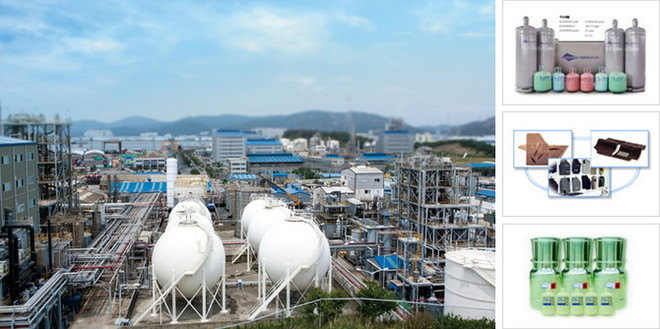 Đại sứ quán Việt Nam ở Hàn Quốc tiến hành bảo hộ công dân ảnh 1