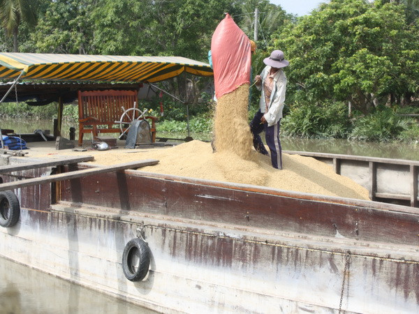 Mua tạm trữ 1 triệu tấn gạo: Giá lúa tăng, nông dân hưởng lợi ít ảnh 1