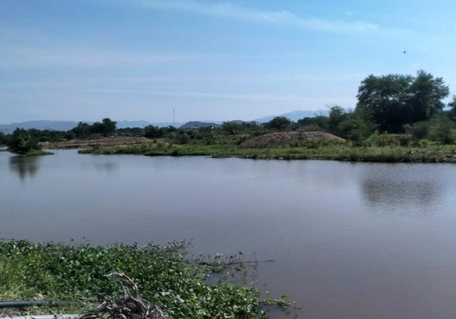 Hai học sinh ở Bình Thuận rủ nhau tắm sông và bị đuối nước ảnh 1