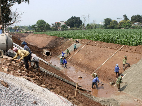 Quảng Nam hỗ trợ 80 tỷ đồng vốn vay ưu đãi khu vực nông thôn ảnh 1