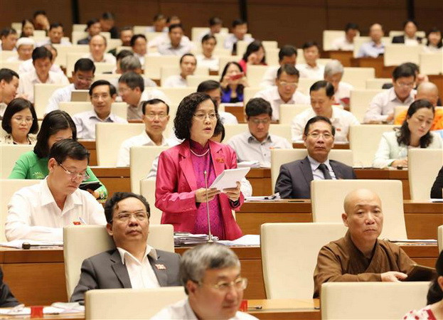 Phiên thảo luận làm sáng tỏ nhiều vấn đề, tạo niềm tin trong nhân dân ảnh 3