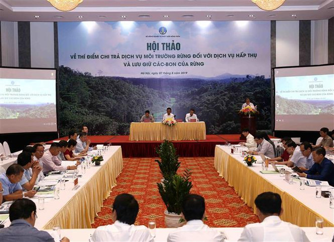 Bốn tỉnh thí điểm chi trả dịch vụ hấp thụ và lưu trữ carbon của rừng ảnh 1