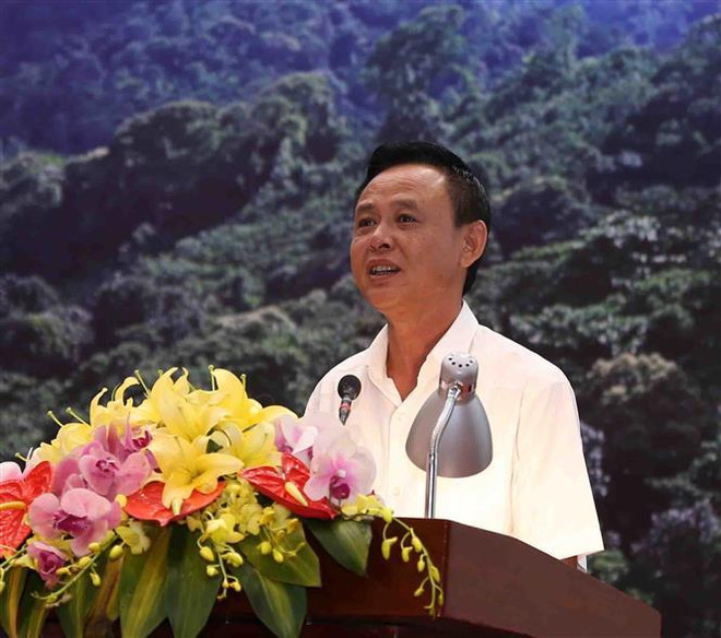 Bốn tỉnh thí điểm chi trả dịch vụ hấp thụ và lưu trữ carbon của rừng ảnh 2