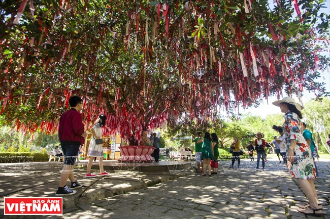 Du khách vui chơi dưới những tán cây đầy màu sắc trên Đồi Mộng Mơ. Đồi Mộng Mơ được ví như Đà Lạt thu nhỏ với ngập tràn sắc hoa ảnh 5