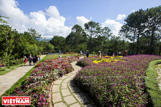 Khu du lịch được trang trí bằng rất nhiều các loại hoa khác nhau. Đồi Mộng Mơ được ví như Đà Lạt thu nhỏ với ngập tràn sắc hoa ảnh 11