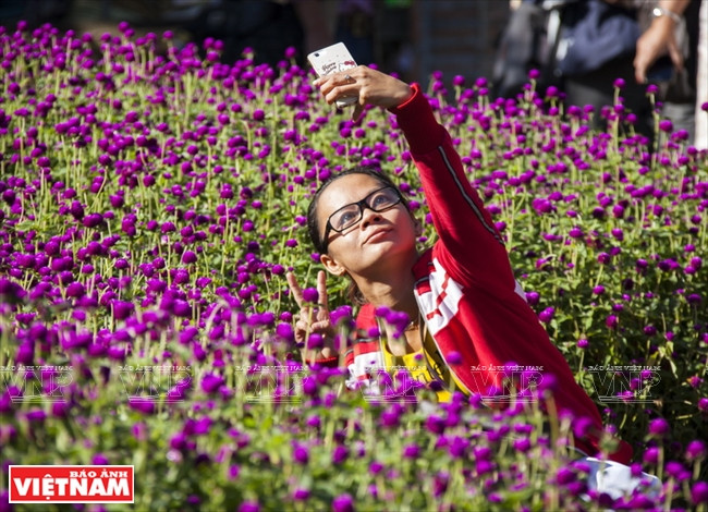 Một du khách thả hồn vào không gian tràn ngập hoa lá ở Đồi Mộng Mơ. Đồi Mộng Mơ được ví như Đà Lạt thu nhỏ với ngập tràn sắc hoa ảnh 7
