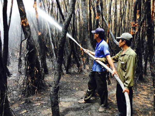 Đang xảy ra cháy rừng thuộc khu vực Vườn quốc gia Hoàng Liên ảnh 1