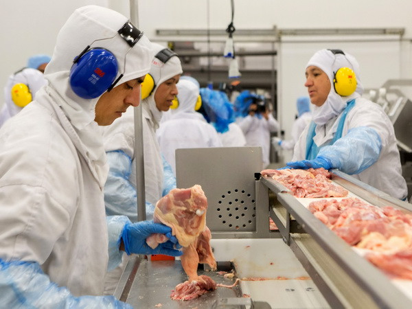 Một dây chuyền chế biến gia cầm. (Nguồn: AFP/TTXVN) EU đề xuất chấn chỉnh hành vi gian lận trong chuỗi chế biến thực phẩm ảnh 1