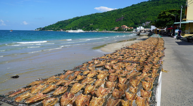 ttxvn_kien giang kho ca bien2.jpg