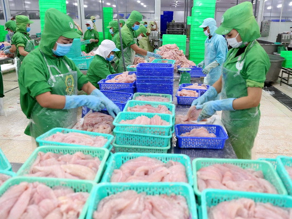 Khó khăn xuất khẩu cá tra ở các thị trường truyền thống ảnh 2