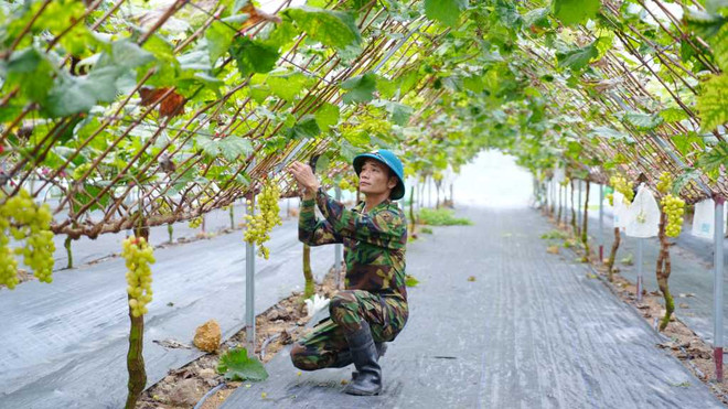 Quảng Ninh đa dạng hóa sinh kế, giảm nghèo tại vùng đồng bào dân tộc ảnh 2