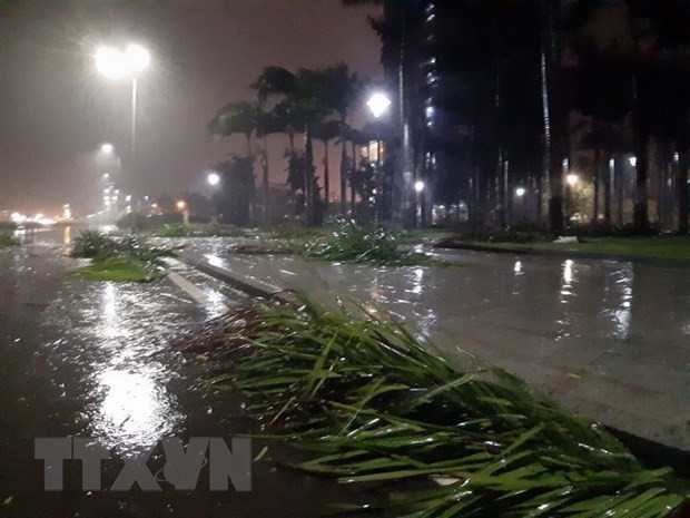 Hà Nội chuẩn bị đón cơn mưa rào, có thể có sét và mưa đá ảnh 1