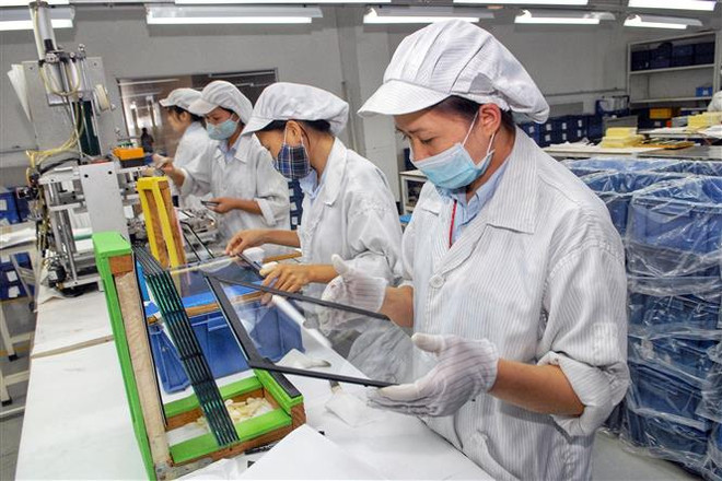 EVFTA chính thức có hiệu lực: Kỳ vọng sức bật xuất khẩu ảnh 2