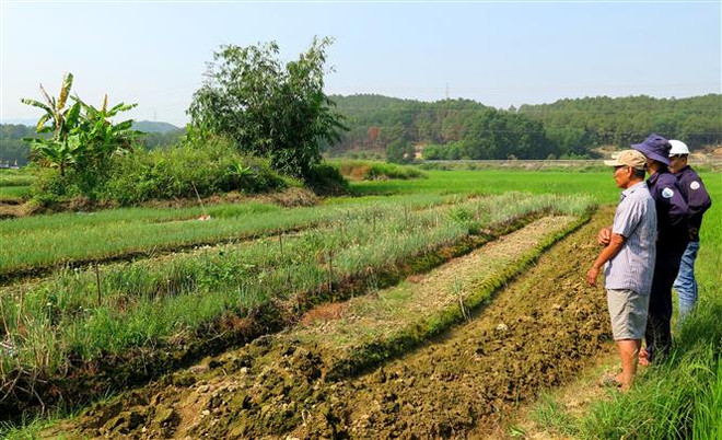 Dự báo nhiều diện tích canh tác ở Trung bộ sẽ không đủ nguồn nước tưới ảnh 1