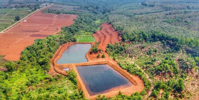 Quảng Trị: Làm rõ việc doanh nghiệp xâm hại rừng đặc dụng ảnh 1