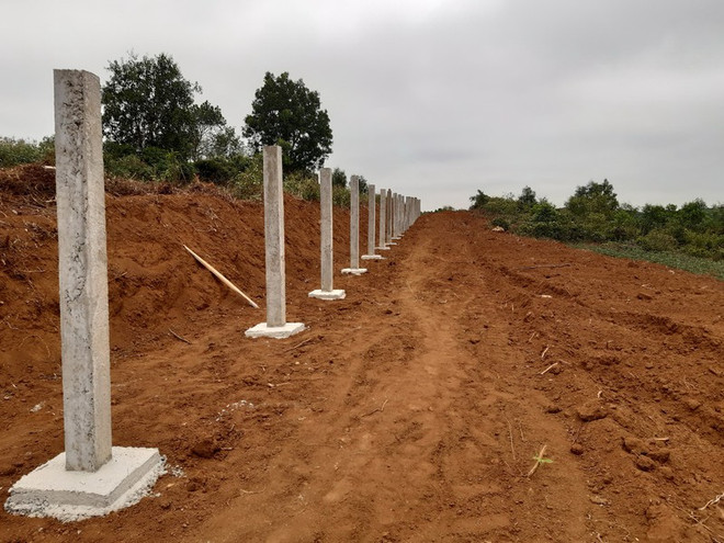 Quảng Trị: Làm rõ việc doanh nghiệp xâm hại rừng đặc dụng ảnh 2