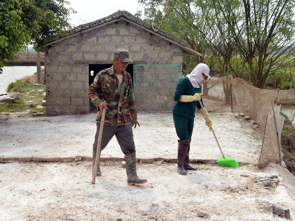 Đã xuất hiện dịch cúm gia cầm H5N1 tại thành phố Bắc Ninh ảnh 1