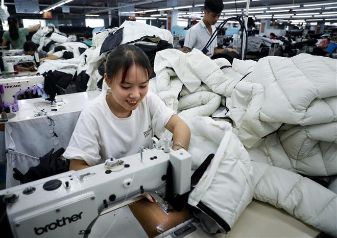 Dấu ấn xuất nhập khẩu hàng hóa Việt Nam chạm mốc 700 tỷ USD ảnh 2