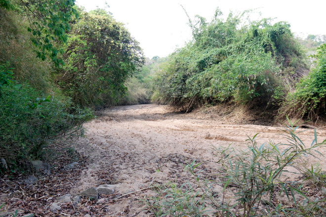 ttxvn_thieu nuoc san xuat1.jpg