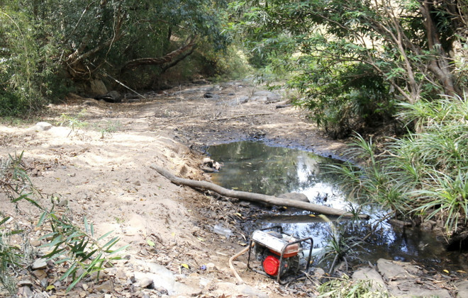 ttxvn_thieu nuoc san xuat3.jpg