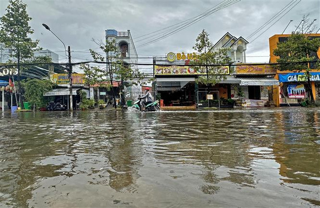 Cà Mau: Vận hành tất cả các trạm bơm để cứu ruộng lúa, rau màu bị ngập ảnh 1