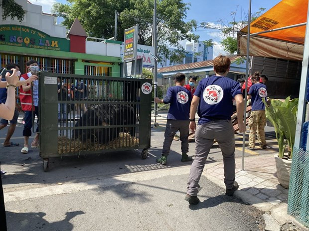 Nâng cao hiệu quả xử lý tội phạm về động vật hoang dã ảnh 1